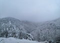 white mountain snow frezzing forest nature Royalty Free Stock Photo