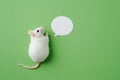 White mouse holding speech bubble standing on green background Royalty Free Stock Photo