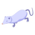 White mouse icon isometric vector. Shrew animal Royalty Free Stock Photo