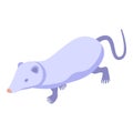 White mouse icon isometric vector. Shrew animal