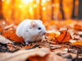 a white mouse on leaves