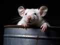 a white mouse in a metal bucket