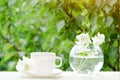 White mug of tea and a vase with jasmine. Greens on the backgrou Royalty Free Stock Photo