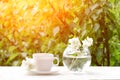 White mug of tea and a vase with jasmine on a wooden table, greens on the background, sunlight Royalty Free Stock Photo