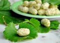 White mulberries