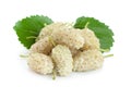 White Mulberry berry isolated Royalty Free Stock Photo