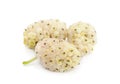 White mulberry fruit Royalty Free Stock Photo