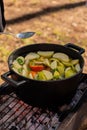 White mulled wine with mandarins, apples, and mint in a pot on hot coals. Picnic in the forest. Ideal for outdoor and festive Royalty Free Stock Photo