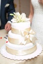 White multi level wedding cake Royalty Free Stock Photo