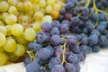 White muscat grape and dark grape - sweet and tasty dessert, hea Royalty Free Stock Photo