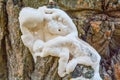 White mushroom fungus grows parasitize on old tree trunk Royalty Free Stock Photo