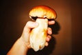 white mushroom in a small hand