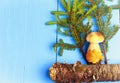 White mushroom under spruce on a wooden background style flat top view of the forest cover of the magazine book Royalty Free Stock Photo