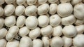 White mushrooms Champignon texture , the scientific name is agaricus bisporus. Food background