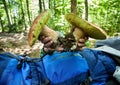 White mushrooms in the hands of men