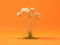 White mushrooms on an orange background Royalty Free Stock Photo