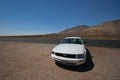 White Mustang on Arizona Highway