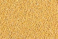 White mustard seeds closeup food background texture Royalty Free Stock Photo