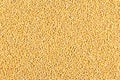 White mustard seeds closeup food background texture Royalty Free Stock Photo