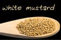 White mustard on wooden spoon isolated on black background Royalty Free Stock Photo