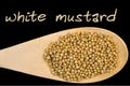 White mustard on wooden spoon isolated on black background Royalty Free Stock Photo