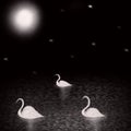 White swan Wish Moon and stars illustration