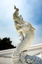 White Naga at the entrance of Bueng Latthiwan Temple Ayutthaya, Thailand Royalty Free Stock Photo