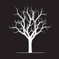 White naked Tree on black background. Royalty Free Stock Photo