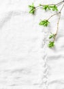 White napkin background with fresh green leaves branches with copy space. Rustic spring frame background composition with free spa