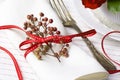 White napkin decorated with red ribbon Christmas plant, table se Royalty Free Stock Photo