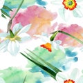 White narcissus floral botanical flower. Watercolor background illustration set. Seamless background pattern. Royalty Free Stock Photo