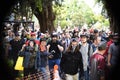 White Nationalist and Anti-Facist Groups Brawl In Downtown Berkeley California Royalty Free Stock Photo