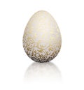 White natural color realistic egg with golden metallic floral pattern. Isolated on white background with reflection Royalty Free Stock Photo