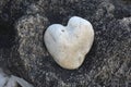 White Natural Heart Shaped Stone on a Rock Royalty Free Stock Photo