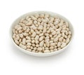 White navy bean