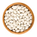 White navy beans in wooden bowl over white