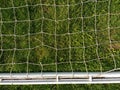 White Netting Against Green Grass