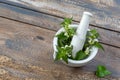 White nettle with mortar and pestle on white background