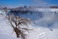 White Niagara Falls and Trees Frozen in Winter Royalty Free Stock Photo