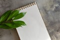 White notebook and sprig of green plant on gray concrete surface. Flat layout, minimalistic workplace concept. Top view Royalty Free Stock Photo