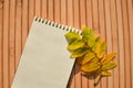 White notebook with yellowed autumn rowan leaves. Space for text. Autumn background: branch of mountain ash, blank sheet of paper. Royalty Free Stock Photo