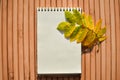 White notebook with yellowed autumn rowan leaves. Space for text. Autumn background: branch of mountain ash, blank sheet of paper. Royalty Free Stock Photo