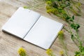 White notepad for notes. Template for writing. Garden and wild meadow flowers. Floral banner. Top view, flat lay. Royalty Free Stock Photo