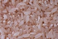 White oblong rice. Macro effect. Bacground. Wallpaper