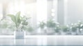 White office space with green plant. Greenery in the clean and bright corporate workspace. Royalty Free Stock Photo
