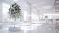 White office space with green plant. Greenery in the clean and bright corporate workspace. Royalty Free Stock Photo