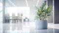 White office space with green plant. Greenery in the clean and bright corporate workspace. Royalty Free Stock Photo