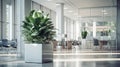 White office space with green plant. Greenery in the clean and bright corporate workspace. Royalty Free Stock Photo