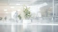 White office space with green plant. Greenery in the clean and bright corporate workspace Royalty Free Stock Photo