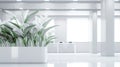 White office space with green plant. Greenery in the clean and bright corporate workspace. Royalty Free Stock Photo